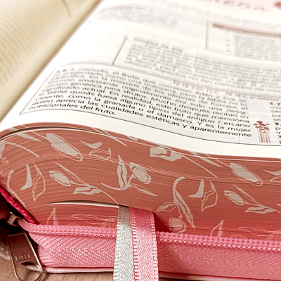 Biblia de Estudio de la Mujer 12 Puntos Modelo 1 Biblia de Estudio de la Mujer 12 Puntos Modelo 1