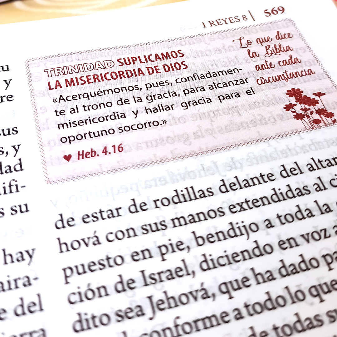 Biblia de Estudio de la Mujer 12 Puntos Modelo 2