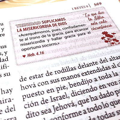 Biblia de Estudio de la Mujer 12 Puntos Modelo 1 Biblia de Estudio de la Mujer 12 Puntos Modelo 1
