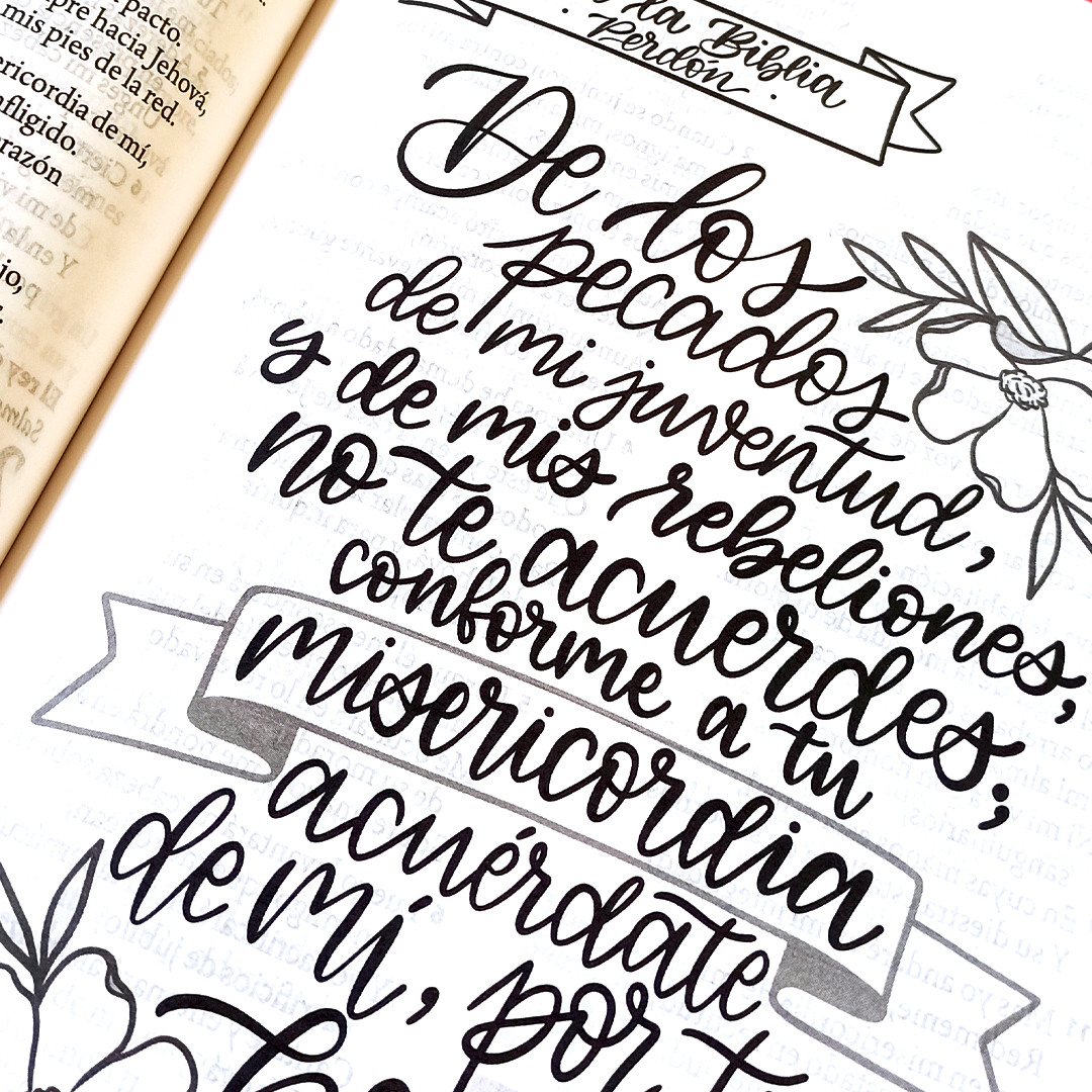 Biblia de Estudio de la Mujer 12 Puntos Modelo 1 Biblia de Estudio de la Mujer 12 Puntos Modelo 1