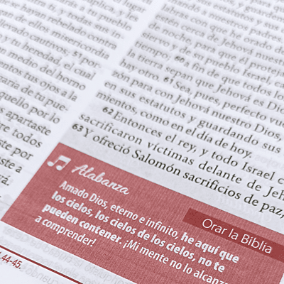 Biblia de Estudio de la Mujer 12 Puntos Modelo 1 Biblia de Estudio de la Mujer 12 Puntos Modelo 1