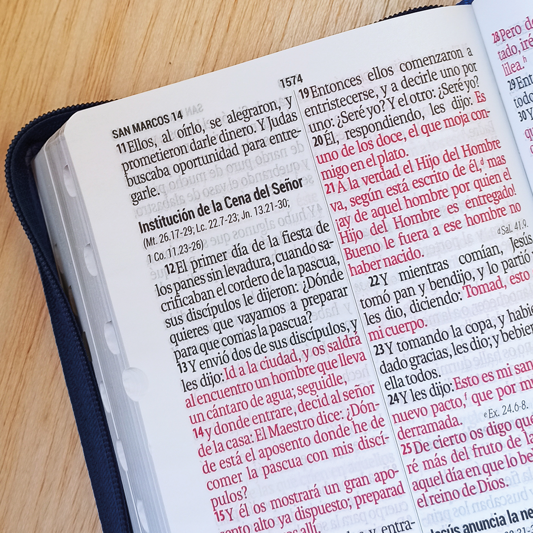 Biblia 14 puntos Bandera Honduras Biblia 14 puntos Bandera Honduras