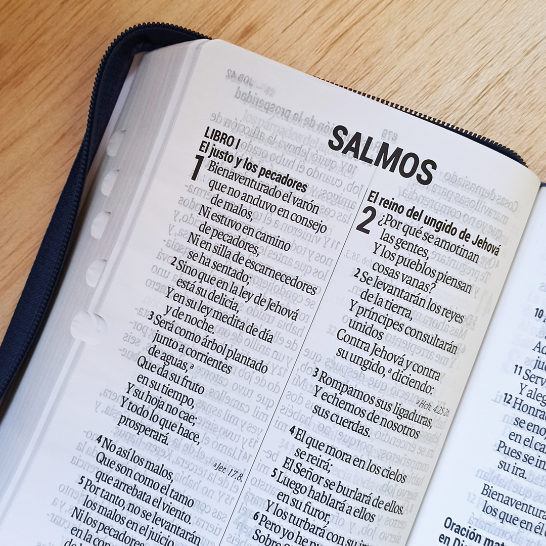 Biblia 14 puntos Bandera Honduras Biblia 14 puntos Bandera Honduras