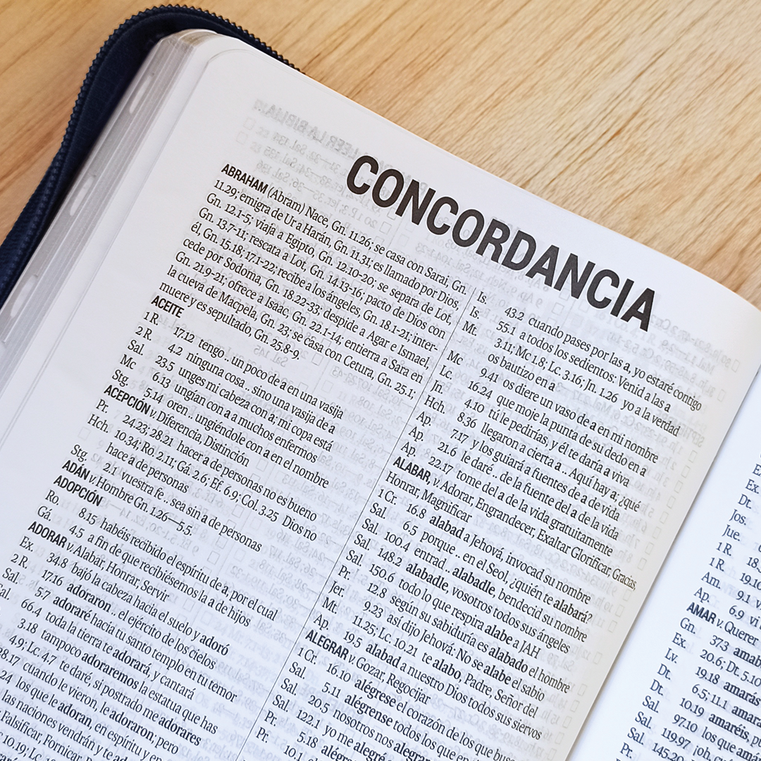 Biblia 14 puntos Bandera Honduras Biblia 14 puntos Bandera Honduras
