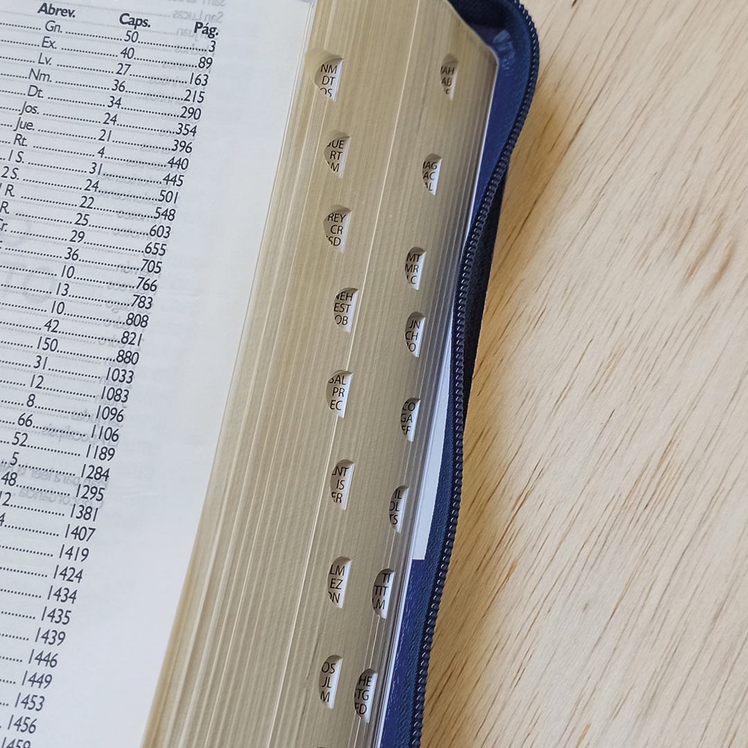 Biblia 14 puntos Bandera El Salvador