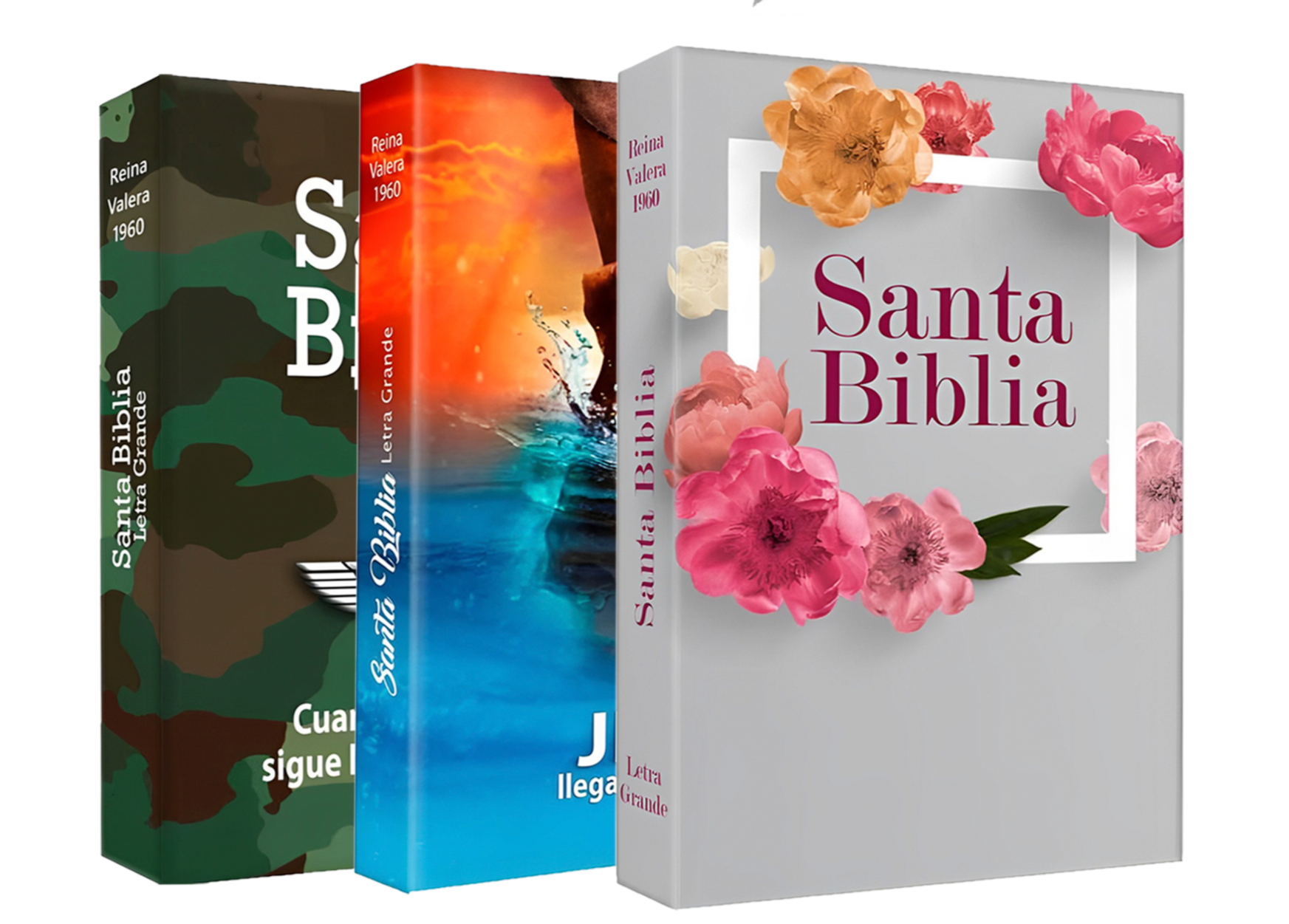 Biblias Tapa Flex RVR60 12 puntos Manos con Indice Biblias Tapa Flex RVR60 12 puntos Manos con Indice