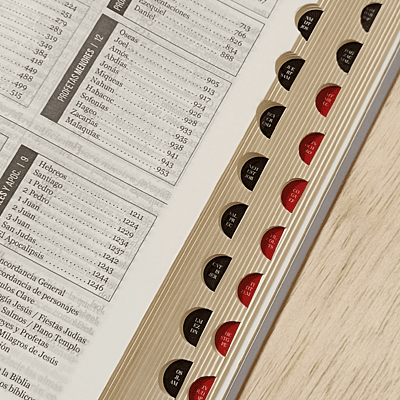 Biblias Tapa Flex RVR60 12 puntos Manos con Indice Biblias Tapa Flex RVR60 12 puntos Manos con Indice