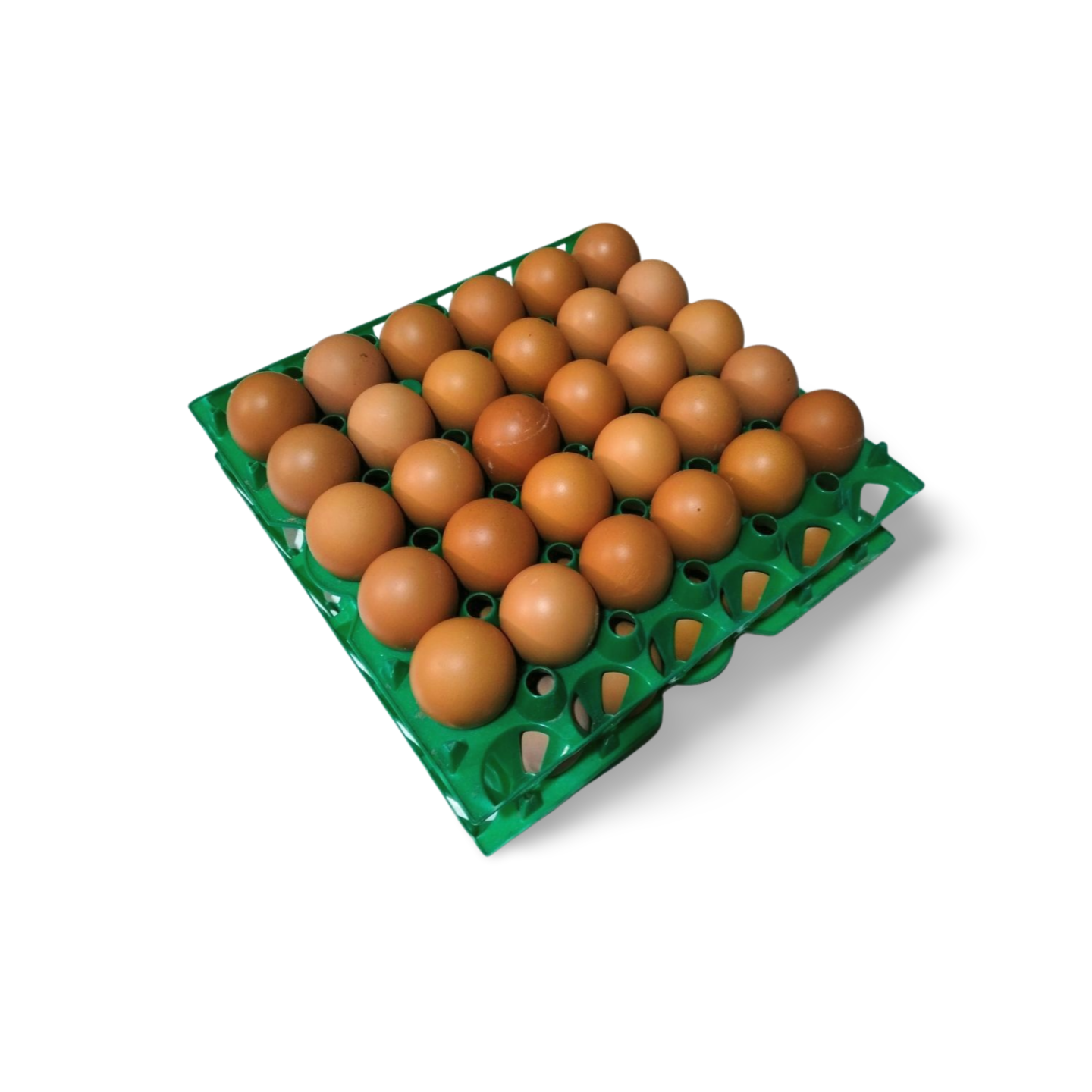 BigNest Table Eggs