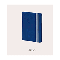 Diary BB1