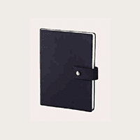 Blue Diary BB43