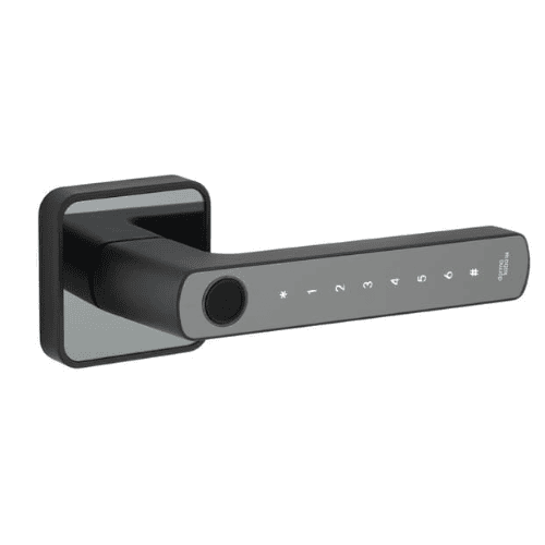 Kaba Rose Biometric Door Lever