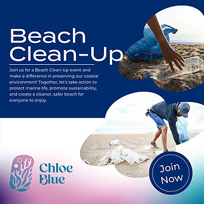 Marine Debris - Beach Clean Up