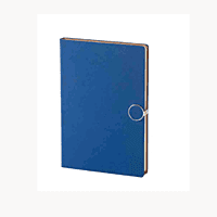 Blue DiaryBB25