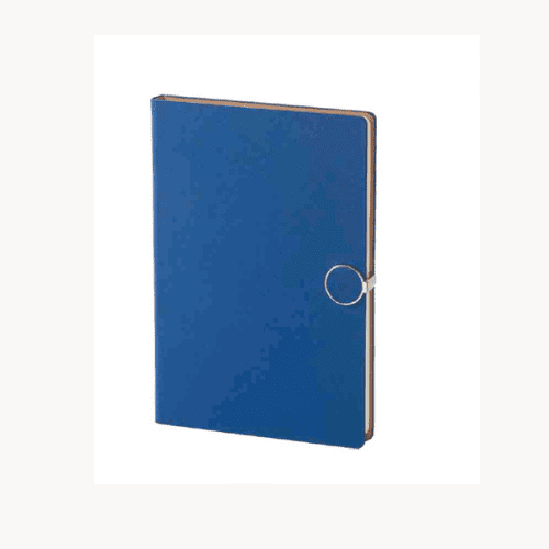 Blue DiaryBB25