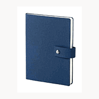 Blue Diary BB43