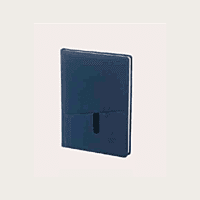 Brown Diary BB45