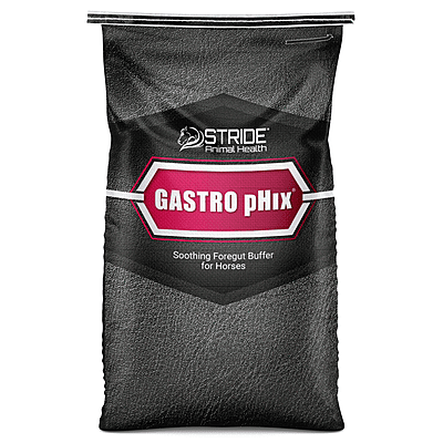 GastroPhix