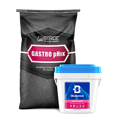 GastroPhix