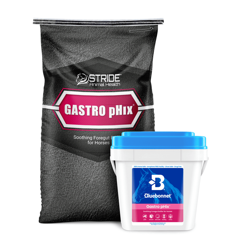 GastroPhix