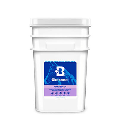 Gut Reset Powder