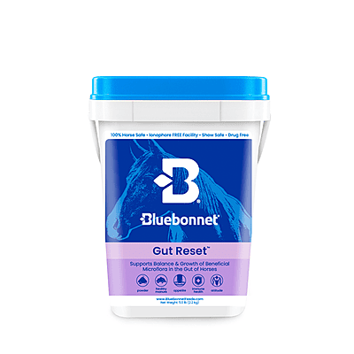 Gut Reset Powder