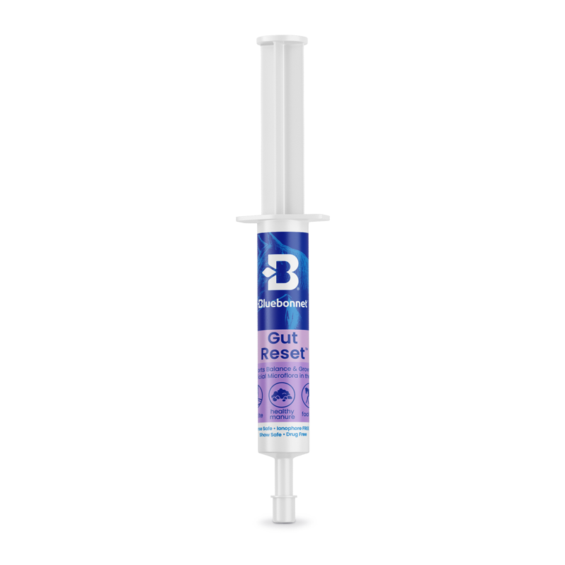 Gut Reset Paste