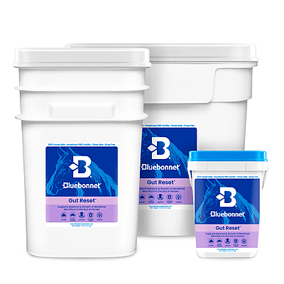 Gut Reset Powder