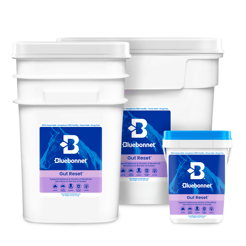 Gut Reset Powder