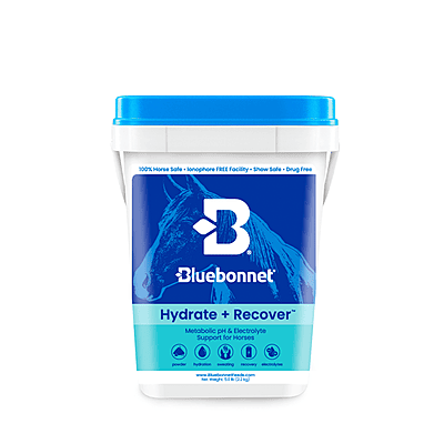 Hydrate & Recover (Turbo Mag BCAA)