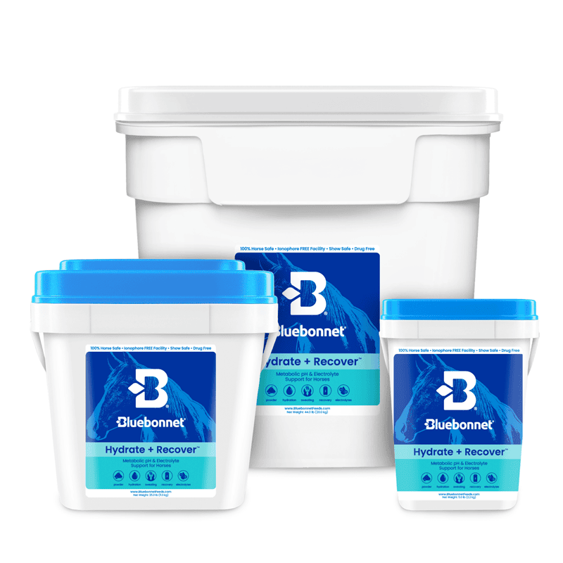 Hydrate & Recover (Turbo Mag BCAA)