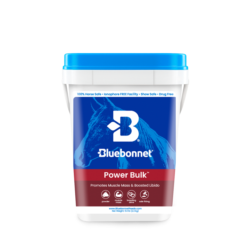 Power Bulk