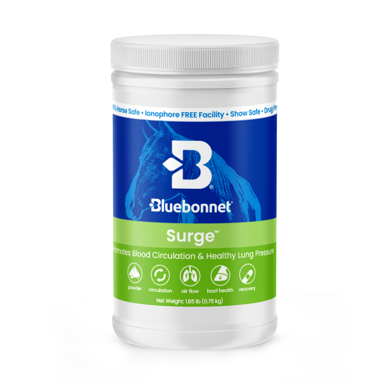 Surge Powder