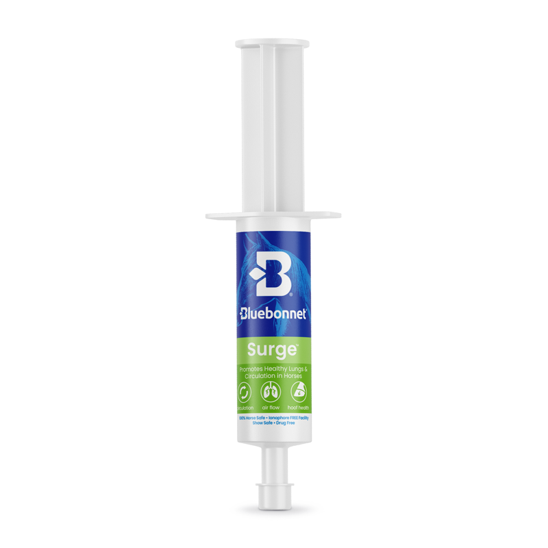 Surge Paste