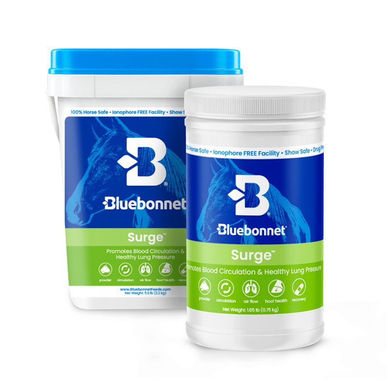 Surge Powder