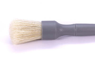 Brosse detail sanglier Brosse detail sanglier