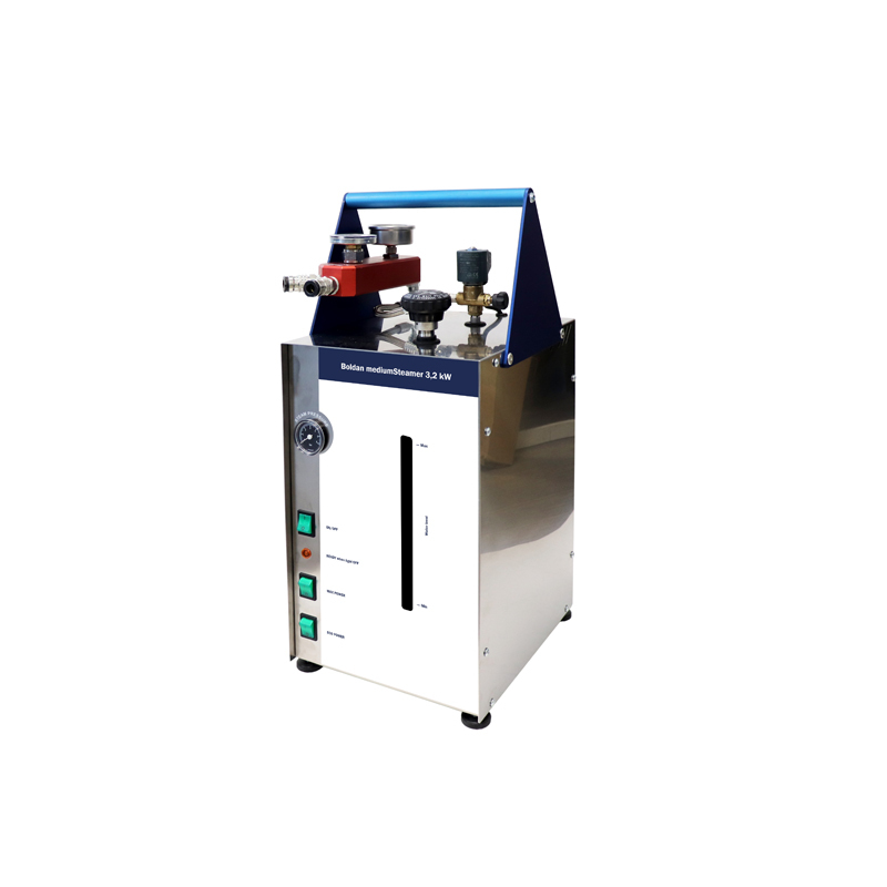 mediumSteamer 3200W 110V