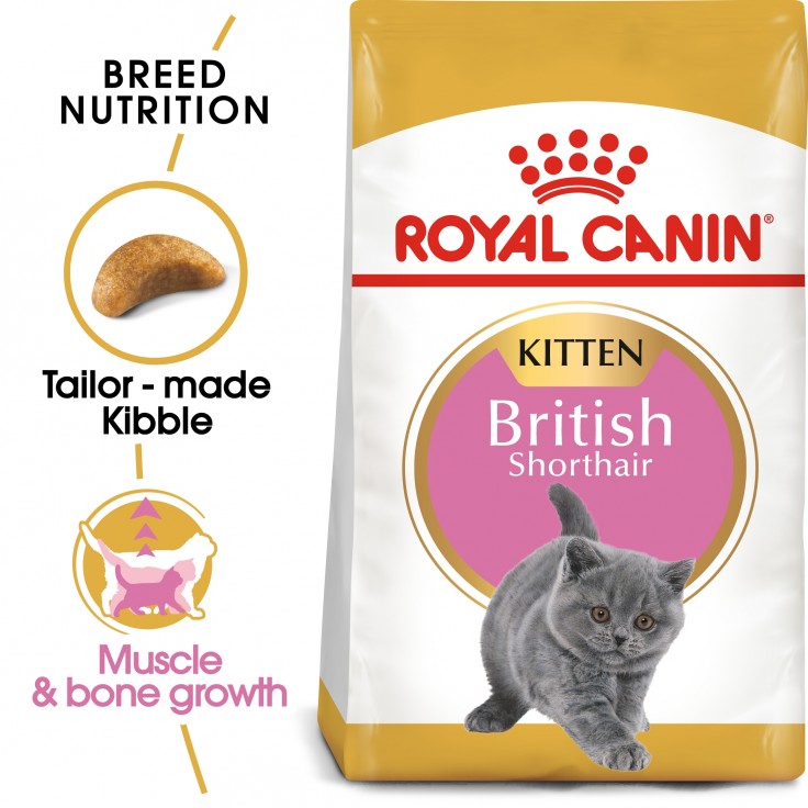 Royal Canin Feline Breed Nutrition British Shorthair Kitten 2KG Royal Canin Feline Breed Nutrition British Shorthair Kitten 2KG