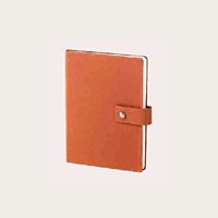 Blue Diary BB43