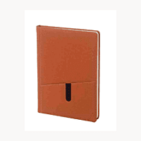 Brown Diary BB45