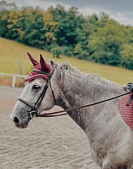 Ear Bonnet