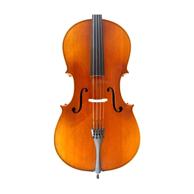 Cello 4/4 Allegro model Cello 4/4 Allegro model