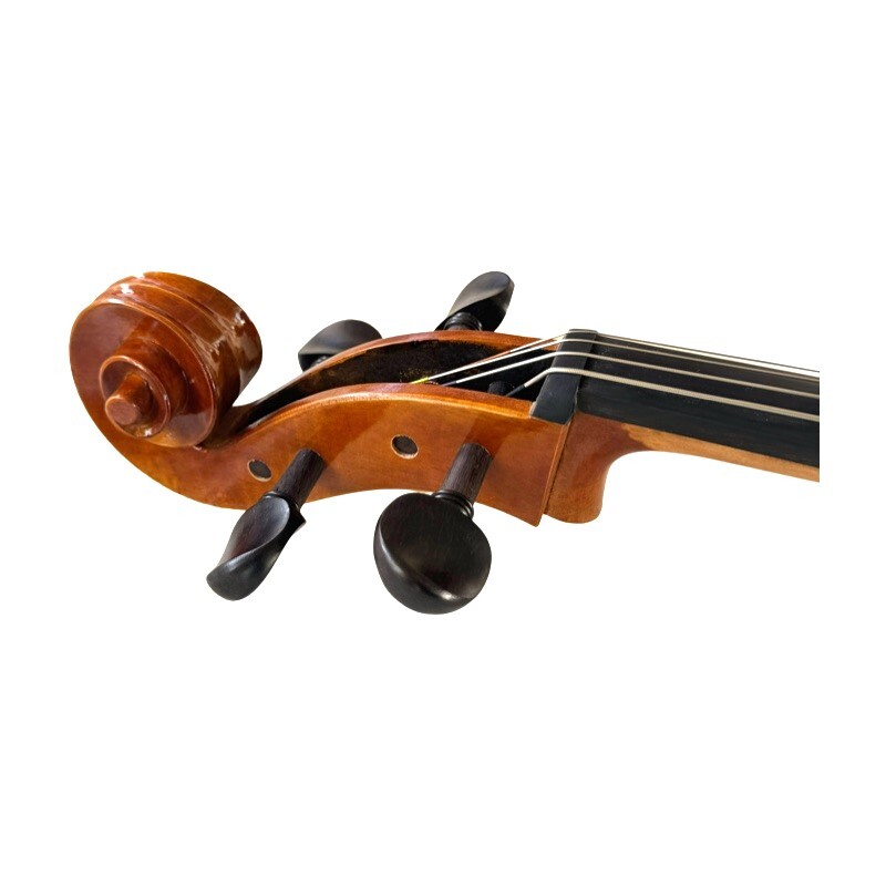 Cello 4/4 Allegro model Cello 4/4 Allegro model