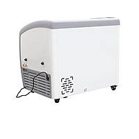 Congelador paletero curvo puerta de cristal 260 Litros