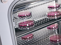 Laboratory Incubators with Air circulation with CO2 atmosphere 190L