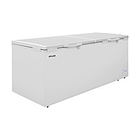 Congelador horizontal de tapa cofre de acero inoxidable 24 ft³ CTC-24-SS