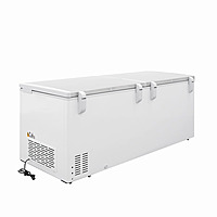 Congelador horizontal de tapa cofre de acero inoxidable 24 ft³ CTC-24-SS