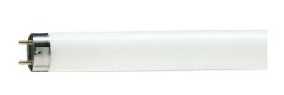 Tube Day Light 4Ft 36W Philips (Pack of 25pcs)