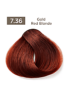 Gold Red Easy Tech