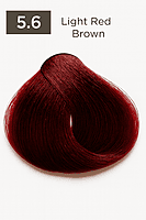 Red Easy Tech