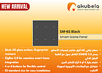 SM-6S Black SM-6S Black